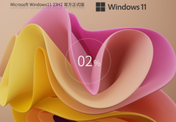 °桿Windows11 23H2 64λ ٷʽ
